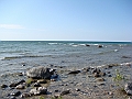 Western Michigan [2010] 796